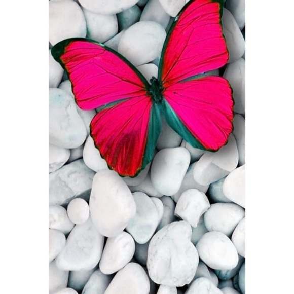 Meet your Posher, Erica - Picture 1 of 1